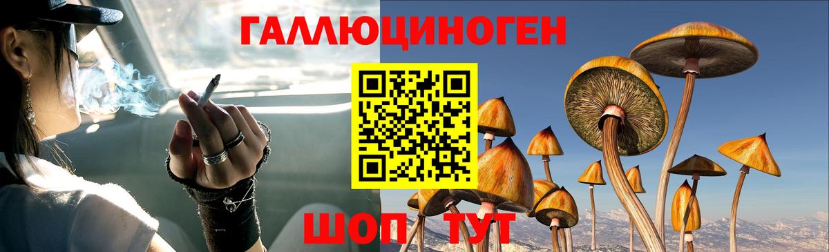 Псилоцибиновые грибы ЛСД  Вход с VPN  Волгоград  Галлюциногенные грибы ЛСД 